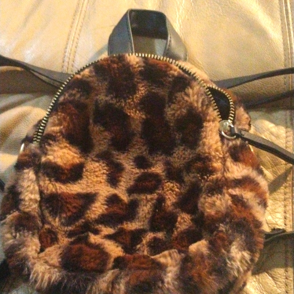 Back pack purse